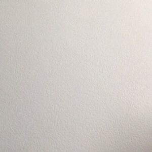 Meet your Posher, Tobi